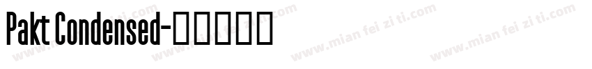 Pakt Condensed字体转换